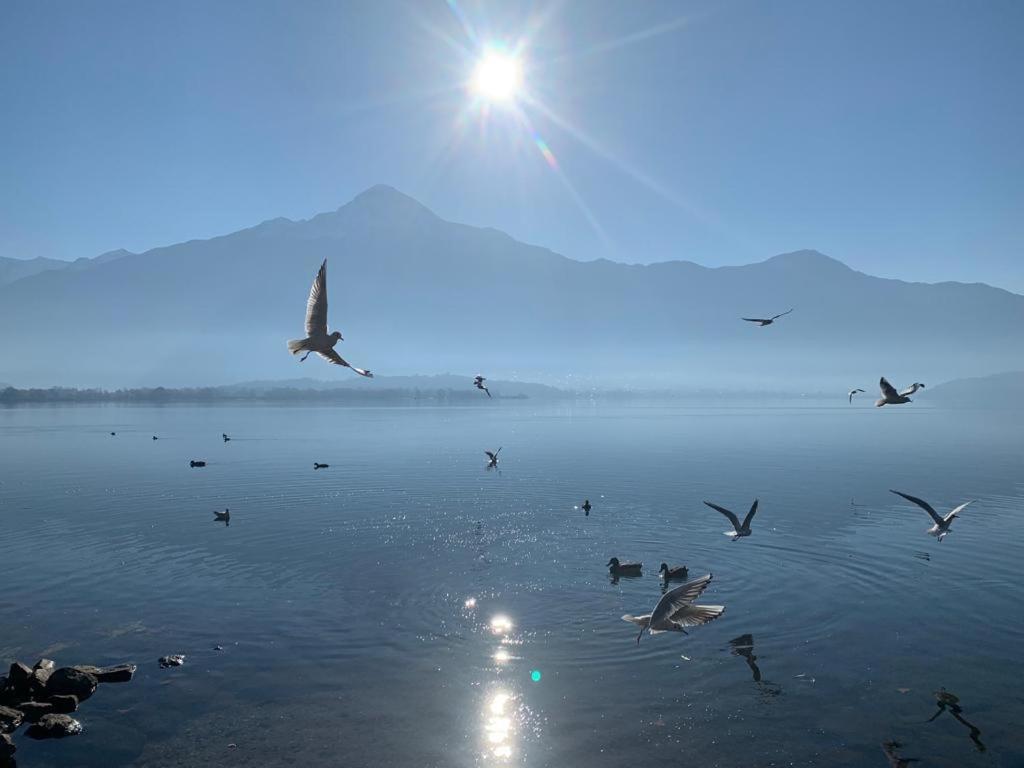 My Holiday- Lake House La Gemma Gera Lario Buitenkant foto